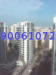 Imperial Heights (D15), Apartment #15343042